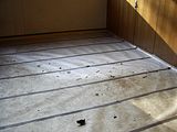 PIC_0266