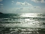 DSCK0156