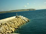 DSCK0172