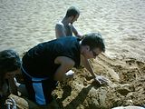 DSCK0194