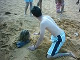 DSCK0201