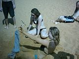 DSCK0202