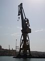 IMGP1135
