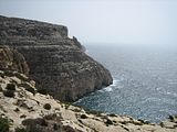 IMG_0461